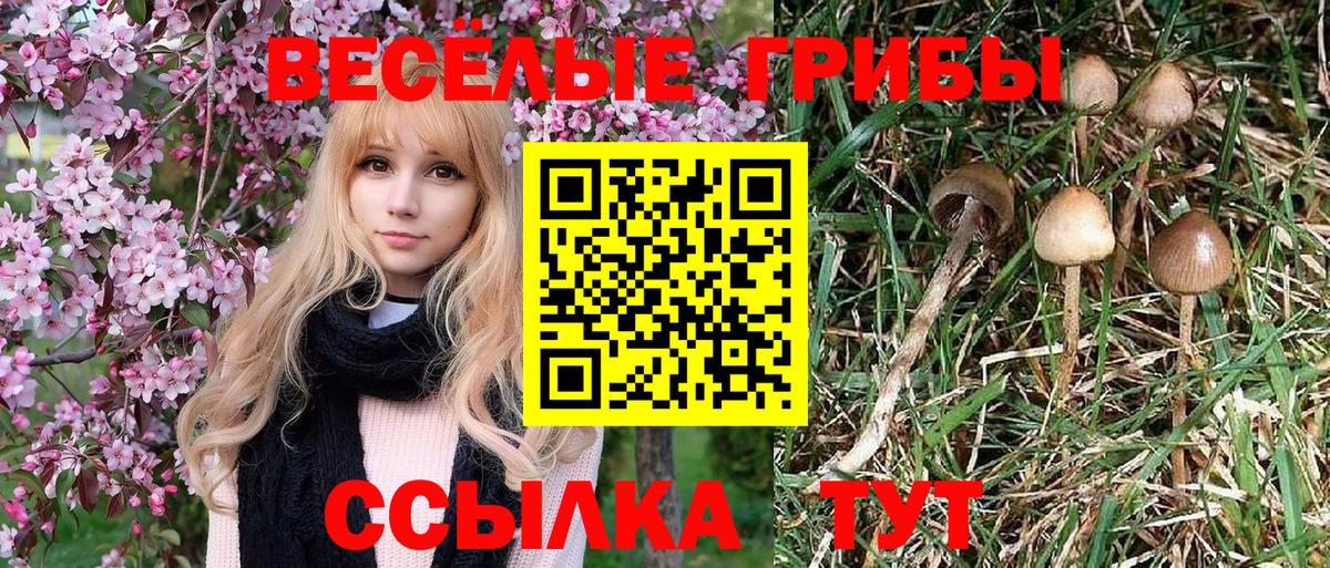 Псилоцибиновые грибы мицелий Краснотурьинск